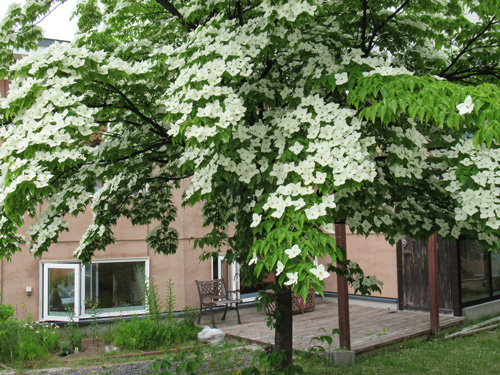 住宅型有料老人ホーム花凪2号館｜事業案内｜特定非営利活動法人 在宅生活支援サービスホーム 花凪｜札幌市｜認知症ケア・訪問介護