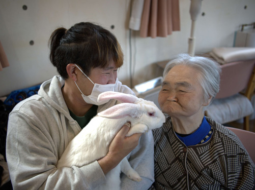 住宅型有料老人ホーム花凪2号館｜事業案内｜特定非営利活動法人 在宅生活支援サービスホーム 花凪｜札幌市｜認知症ケア・訪問介護